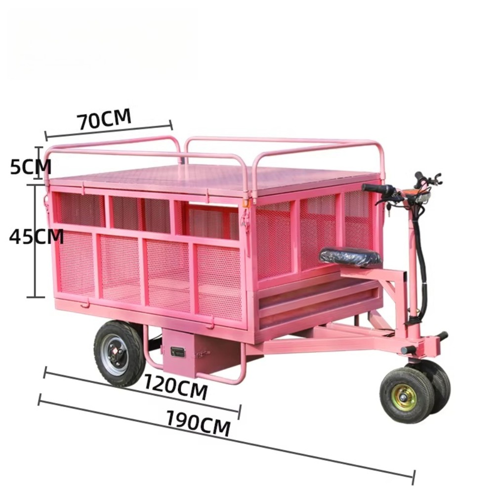 3 Wheel Electric Flat Cart Rev - Snacks Food Stall のレビューと価格