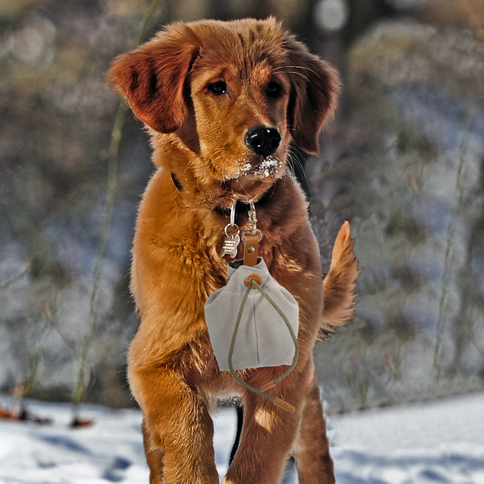 Lightweight Compact Dog Snack  - Food Snacks With Iron のレビューと価格